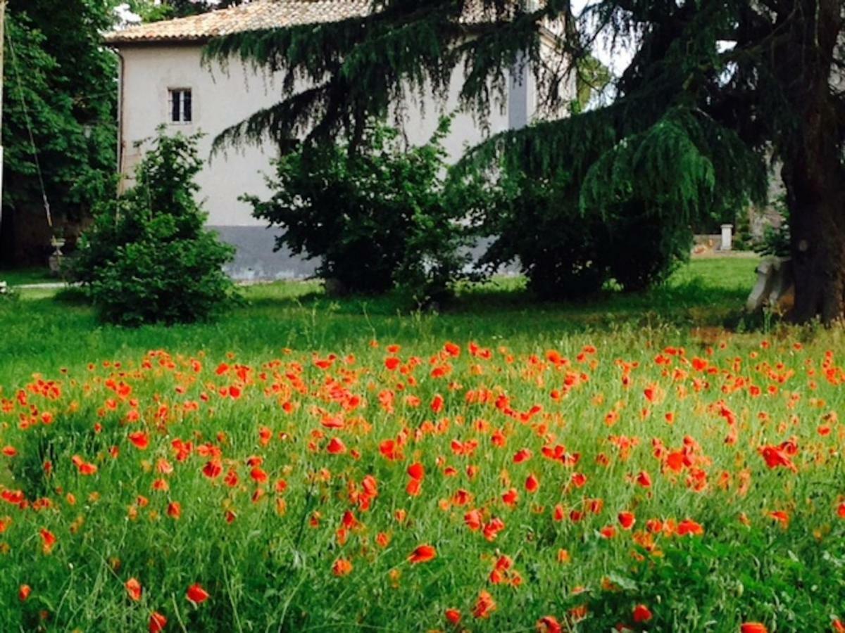 Appartamenti Lais In Sipicciano Kültér fotó